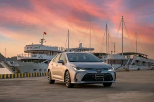 Top taxi bến tre uy tín hiện nay